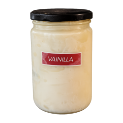 Helado Artesano de Vainilla
