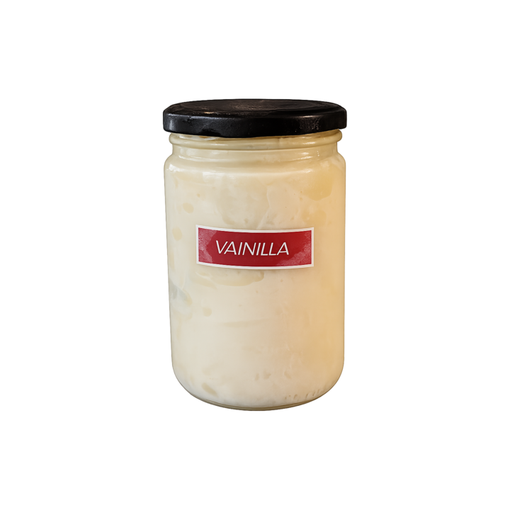 Helado Artesano de Vainilla | Tarro 0,5L, 2,5L y 5L | Can Tomàs