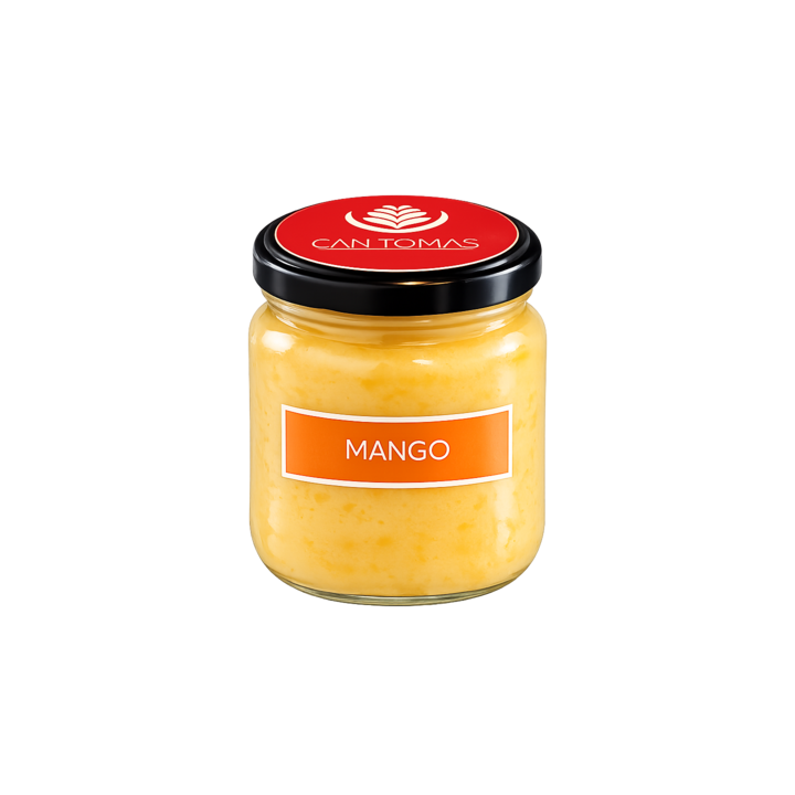 Helado Artesano de Mango | Can Tomàs